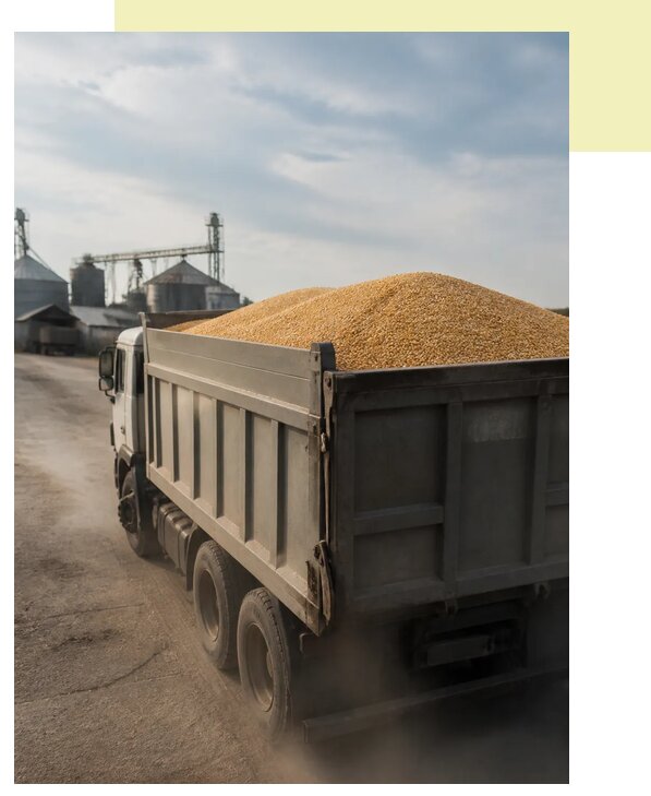 Перевозка сельхозпродукции навалом в Вологду по цене от 3082 р. | Агросервис-Вгд